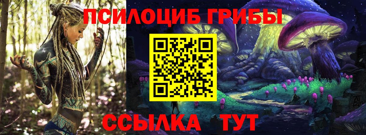 Псилоцибиновые грибы мицелий Великие Луки