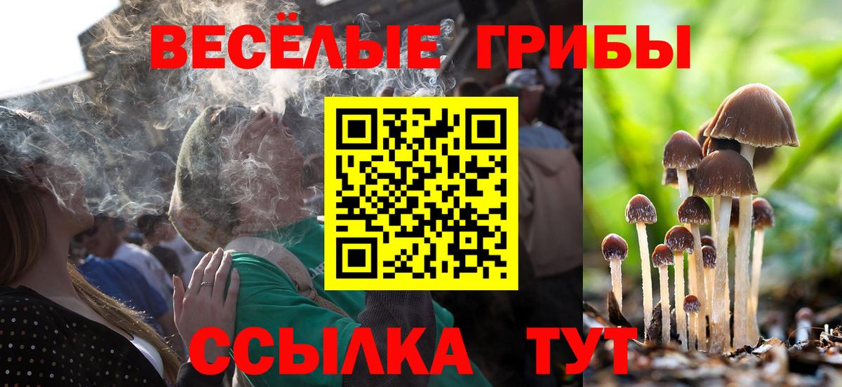 Галлюциногенные грибы мицелий  Вход с VPN  Великие Луки 